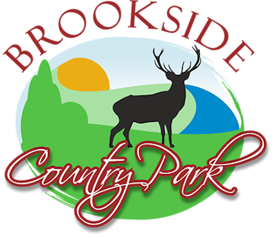 Brookside Country Park
