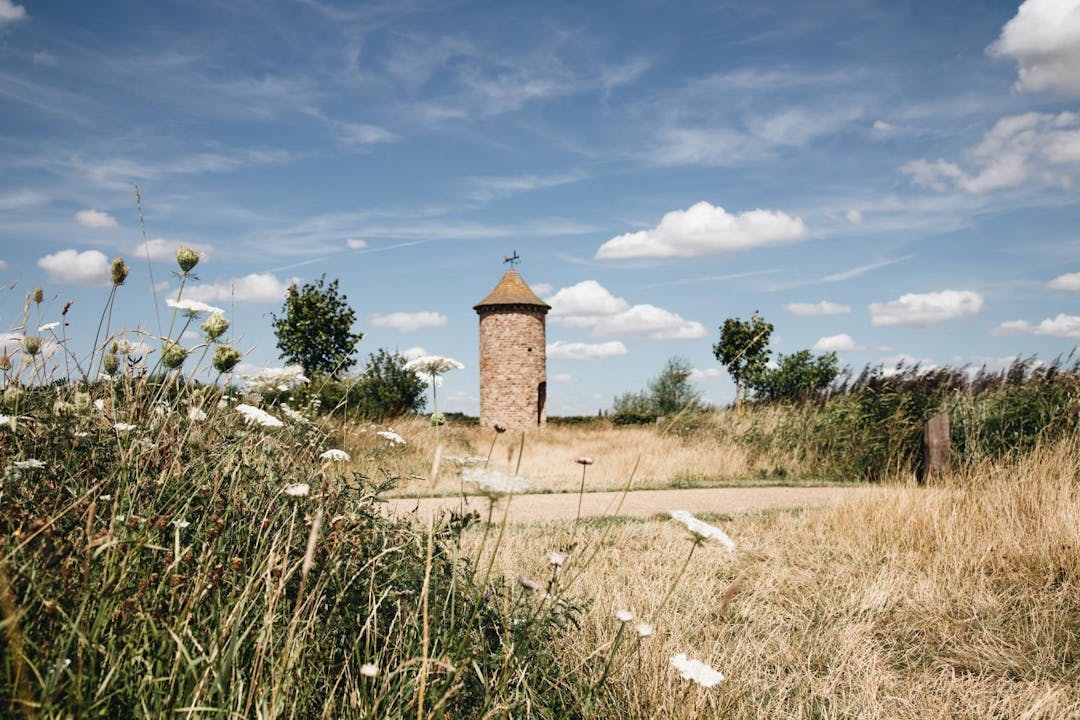 Meadowvale Park