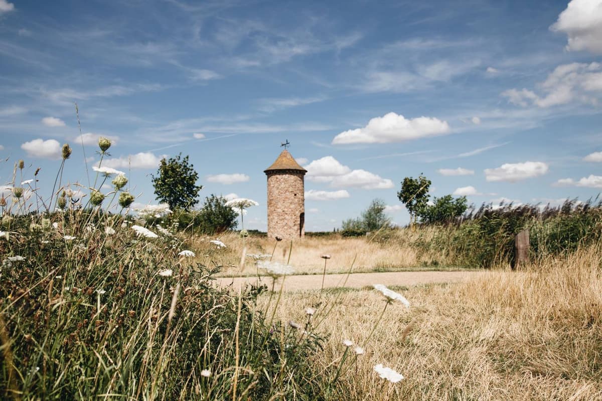 Meadowvale Park