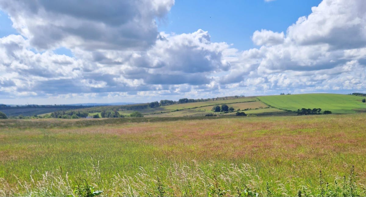 Highview Caravan Park