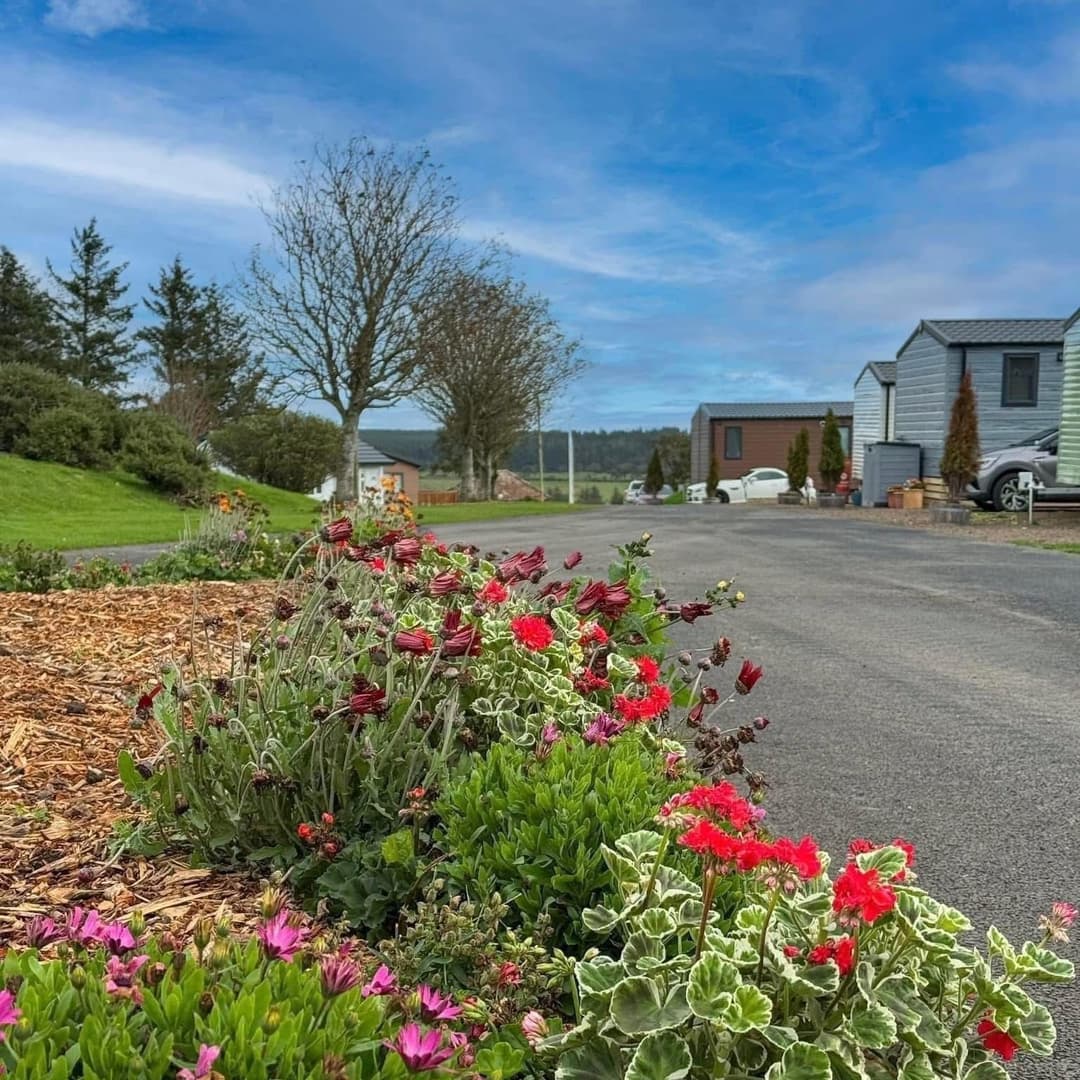 Highview Caravan Park